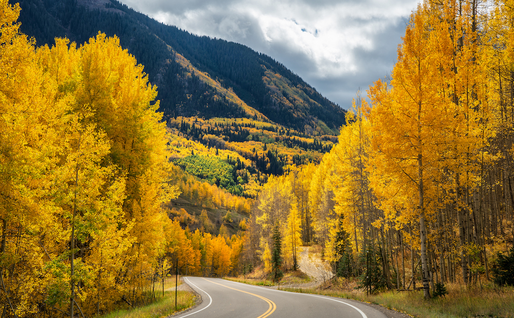 Vibrant fall foliage during scenic drive in Grand Lake, CO